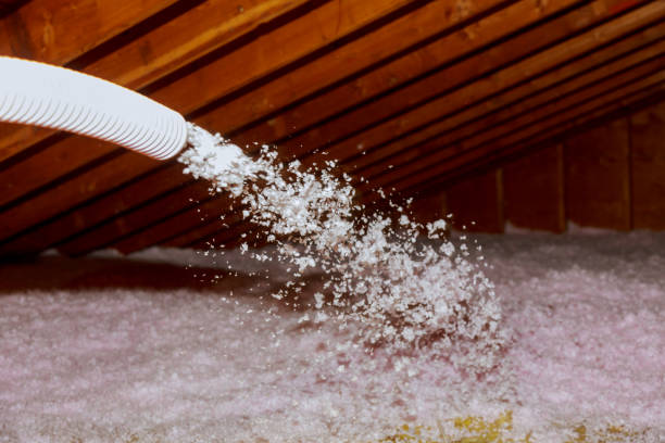 Best DIY Insulation Kits and Guidance in Mansfield, AR