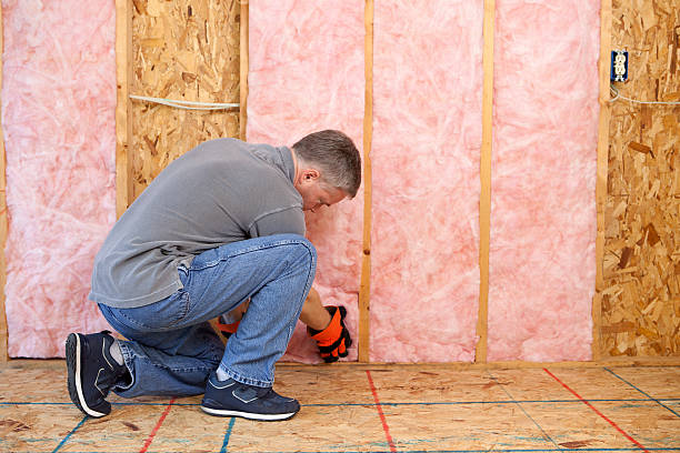 Professional Insulation Contractor in Mansfield, AR