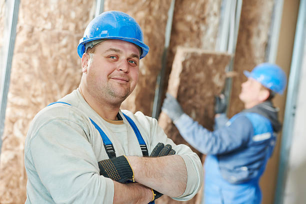 Best Residential Insulation in Mansfield, AR